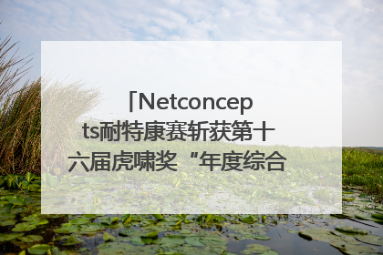 Netconcepts耐特康赛斩获第十六届虎啸奖“年度综合服务商”大奖