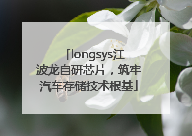 longsys江波龙自研芯片，筑牢汽车存储技术根基